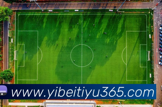 易倍体育发展历程